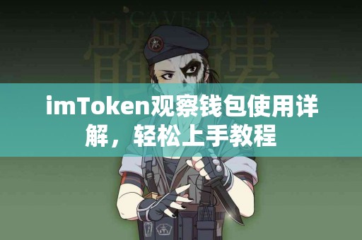 imToken观察钱包使用详解，轻松上手教程