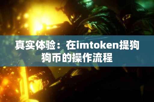 真实体验：在imtoken提狗狗币的操作流程