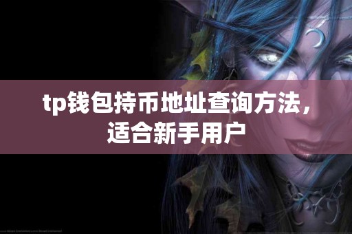 tp钱包持币地址查询方法，适合新手用户