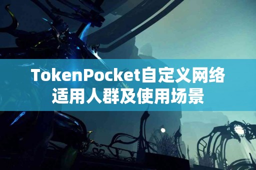 TokenPocket自定义网络适用人群及使用场景