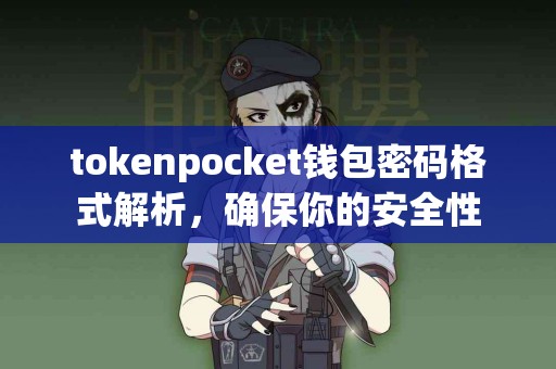 tokenpocket钱包密码格式解析，确保你的安全性