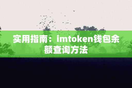 实用指南：imtoken钱包余额查询方法