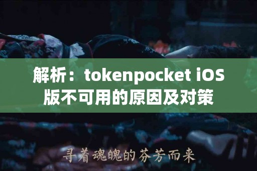 解析：tokenpocket iOS版不可用的原因及对策