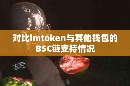 对比imtoken与其他钱包的BSC链支持情况