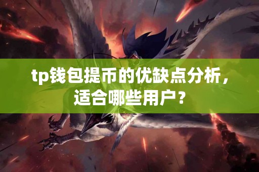 tp钱包提币的优缺点分析，适合哪些用户？