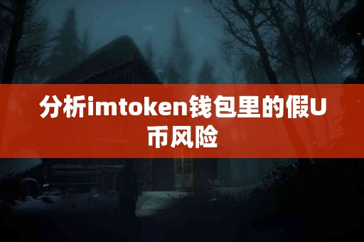 分析imtoken钱包里的假U币风险