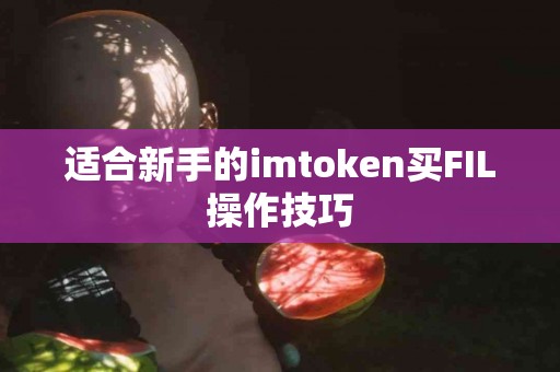 适合新手的imtoken买FIL操作技巧