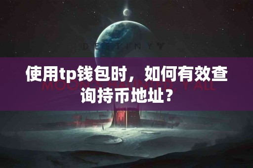 使用tp钱包时，如何有效查询持币地址？