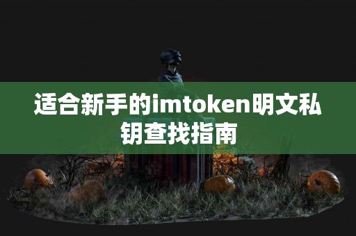 适合新手的imtoken明文私钥查找指南