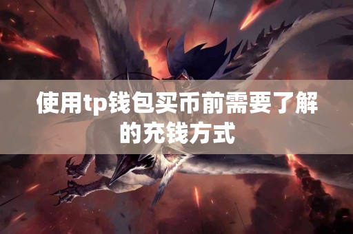 使用tp钱包买币前需要了解的充钱方式
