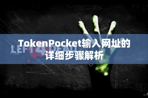 TokenPocket输入网址的详细步骤解析