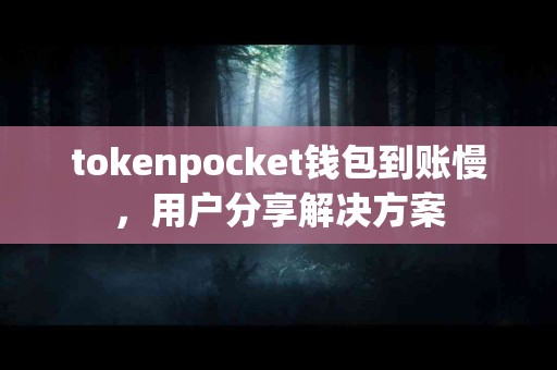tokenpocket钱包到账慢，用户分享解决方案