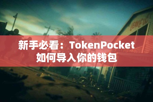 新手必看：TokenPocket如何导入你的钱包