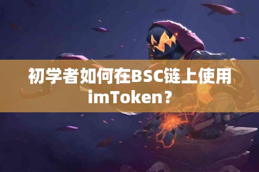 初学者如何在BSC链上使用imToken？
