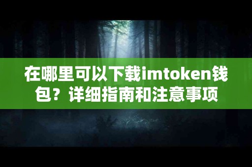 在哪里可以下载imtoken钱包？详细指南和注意事项