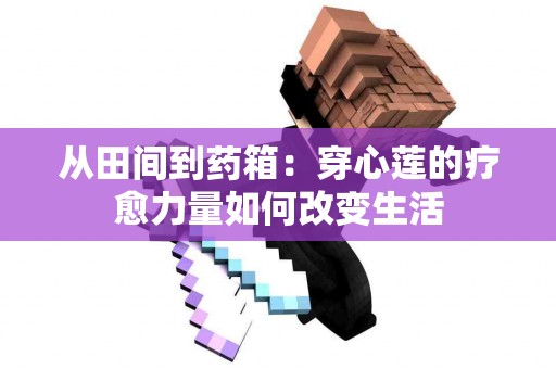 从田间到药箱：穿心莲的疗愈力量如何改变生活