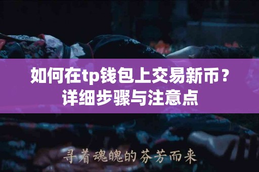 如何在tp钱包上交易新币？详细步骤与注意点