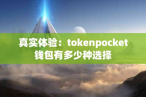 真实体验：tokenpocket钱包有多少种选择