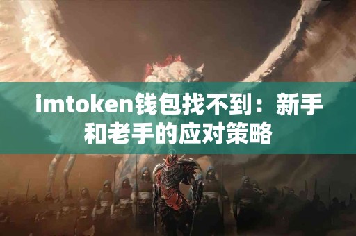 imtoken钱包找不到：新手和老手的应对策略