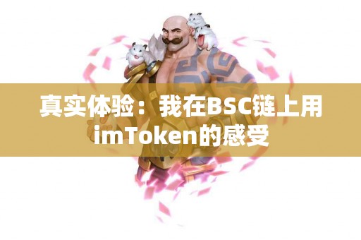 真实体验：我在BSC链上用imToken的感受