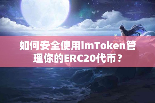 如何安全使用imToken管理你的ERC20代币？
