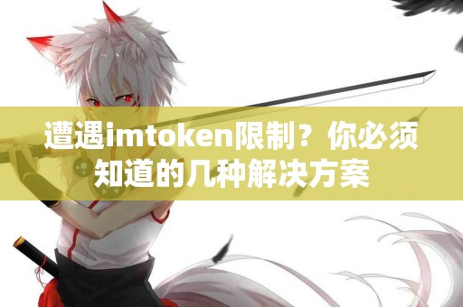 遭遇imtoken限制？你必须知道的几种解决方案