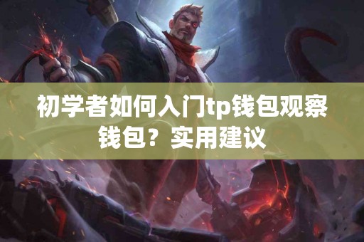 初学者如何入门tp钱包观察钱包？实用建议