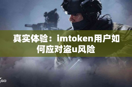 真实体验：imtoken用户如何应对盗u风险