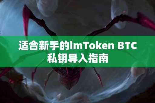 适合新手的imToken BTC私钥导入指南