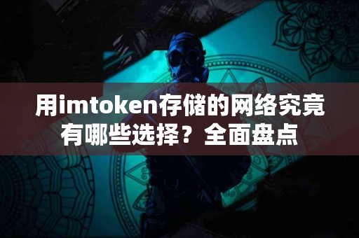 用imtoken存储的网络究竟有哪些选择？全面盘点