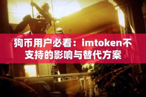 狗币用户必看：imtoken不支持的影响与替代方案