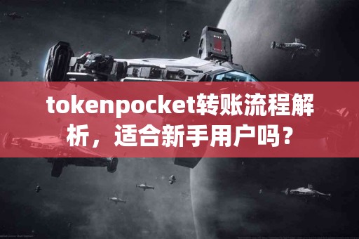 tokenpocket转账流程解析，适合新手用户吗？