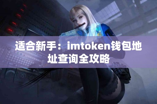 适合新手：imtoken钱包地址查询全攻略