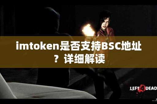 imtoken是否支持BSC地址？详细解读