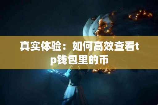 真实体验：如何高效查看tp钱包里的币