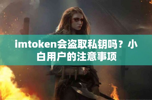 imtoken会盗取私钥吗？小白用户的注意事项