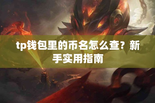tp钱包里的币名怎么查？新手实用指南