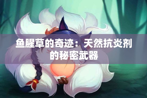 鱼腥草的奇迹：天然抗炎剂的秘密武器