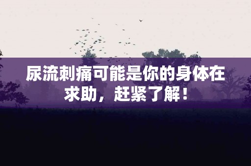 尿流刺痛可能是你的身体在求助，赶紧了解！