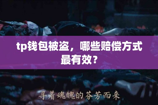 tp钱包被盗，哪些赔偿方式最有效？