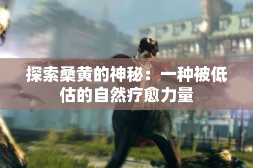 探索桑黄的神秘：一种被低估的自然疗愈力量